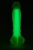 Radiant dildo świecące w ciemności mały rozmiar zielone 17,5